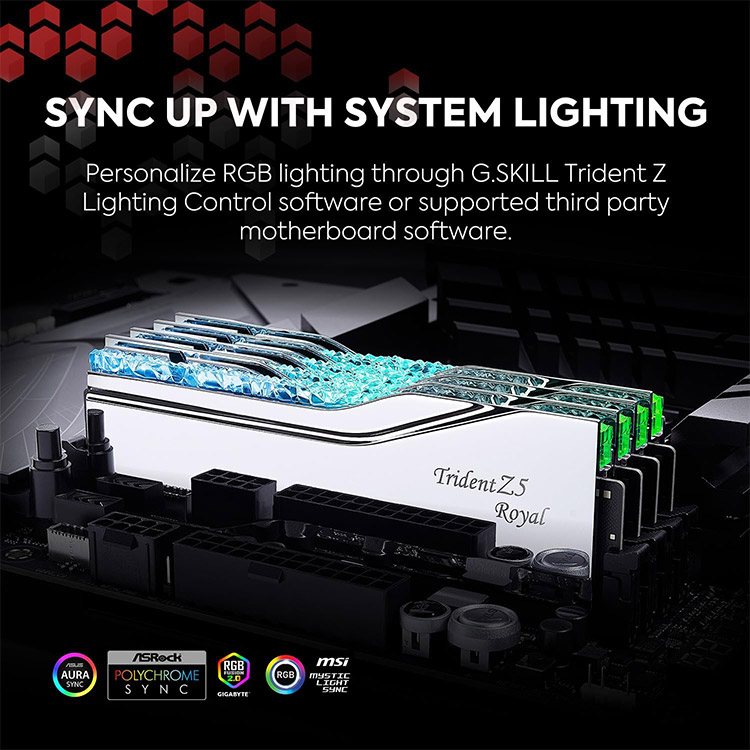 خرید G.Skill Trident Z5 Royal 64GB DDR5 RAM - Dual Stick - 6400MHz - CL32- Silver